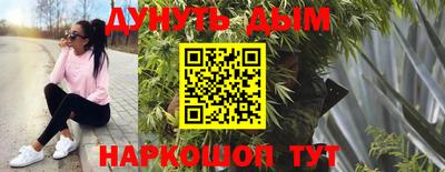 Альфа ПВП Сланцы